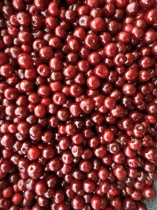 Вишня olcha (qora gilos)