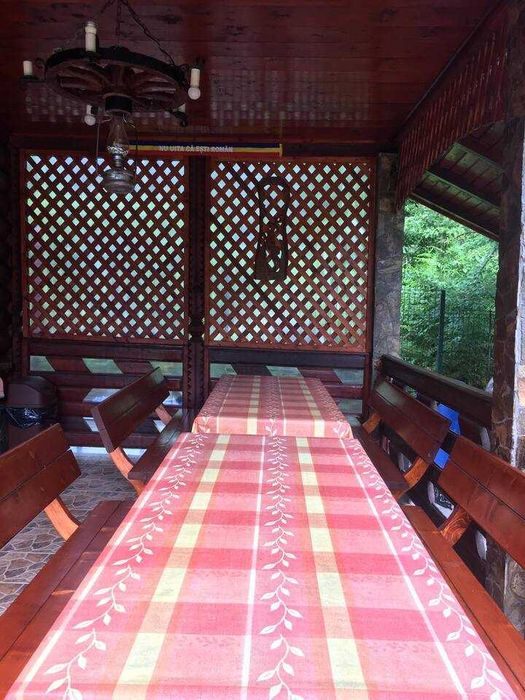 Cabana Matei • Arad • In mijlocul padurii