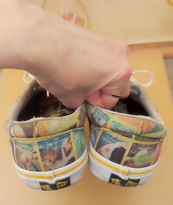 Фирменные кеды National Geographic