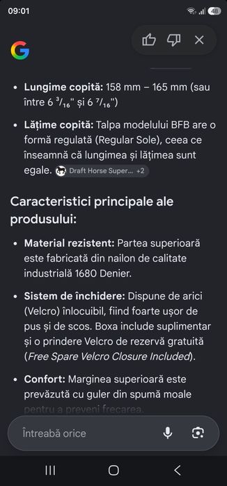 Încălțăminte cai doar pentru cunoscători  vei ști că este la jumătate de preț