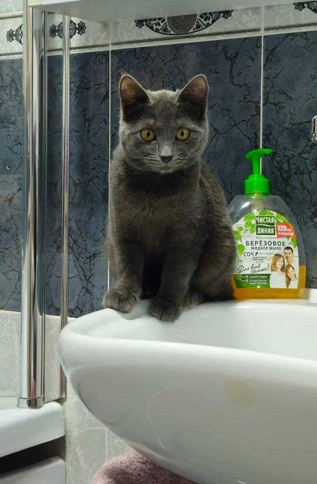 Красавица в любящую семью!