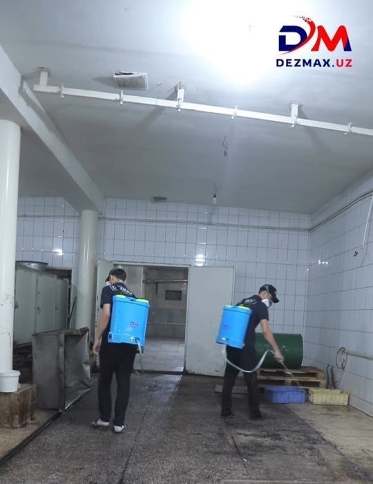 Внимание 15 % Скидка [Дезинфекция,Дезинсекция,Дератизация]