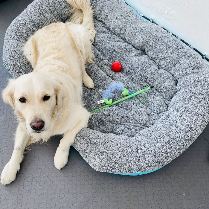 Легло за голямо куче с лапичка ХХЛ светло син