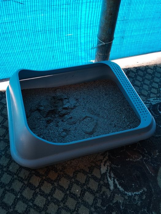 Продам британского кота