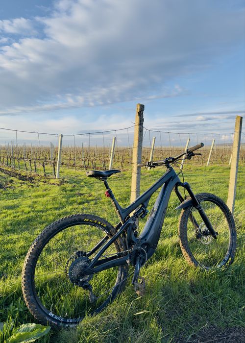 Se vinde e-bike Pivot Shuttle Race Am 2018