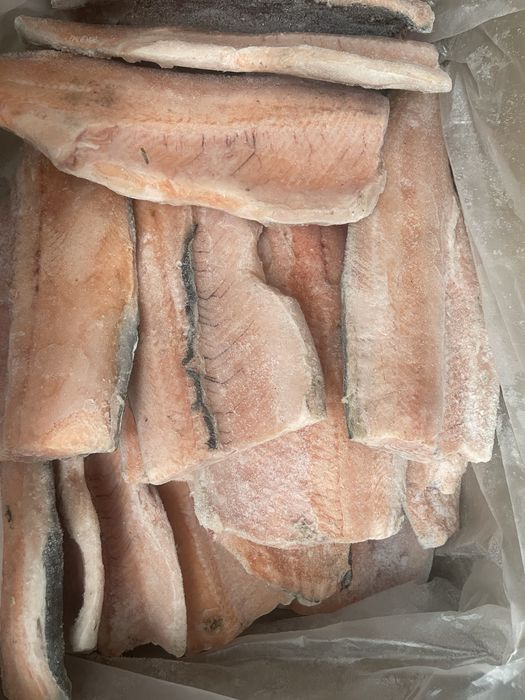 Продам Радужная форель