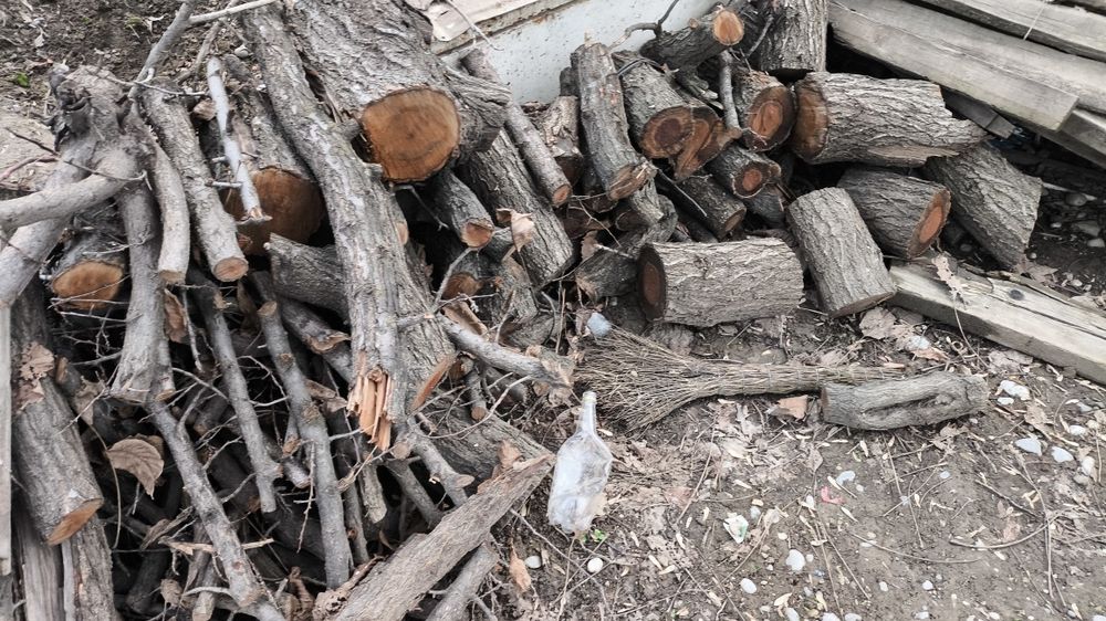 Продам. дрова. Обрикос карагаш