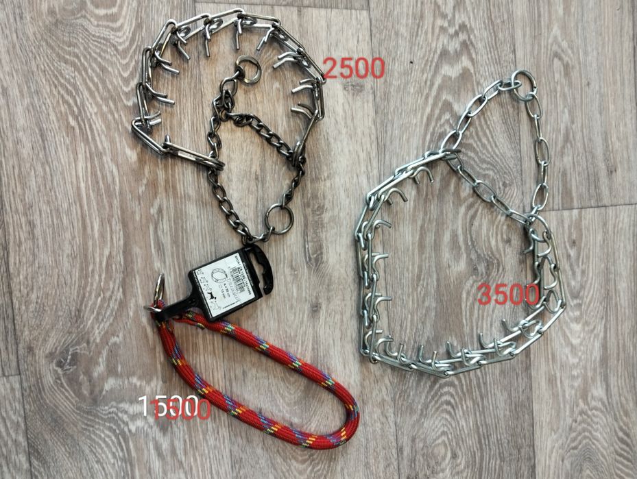 Ошейники для собак