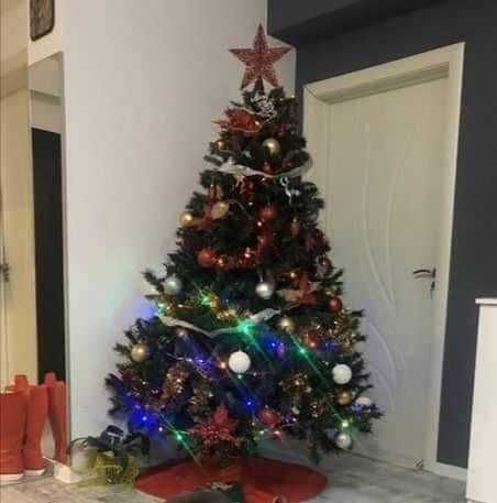 Коледна елха 210см. голяма и със 180бр шишарки