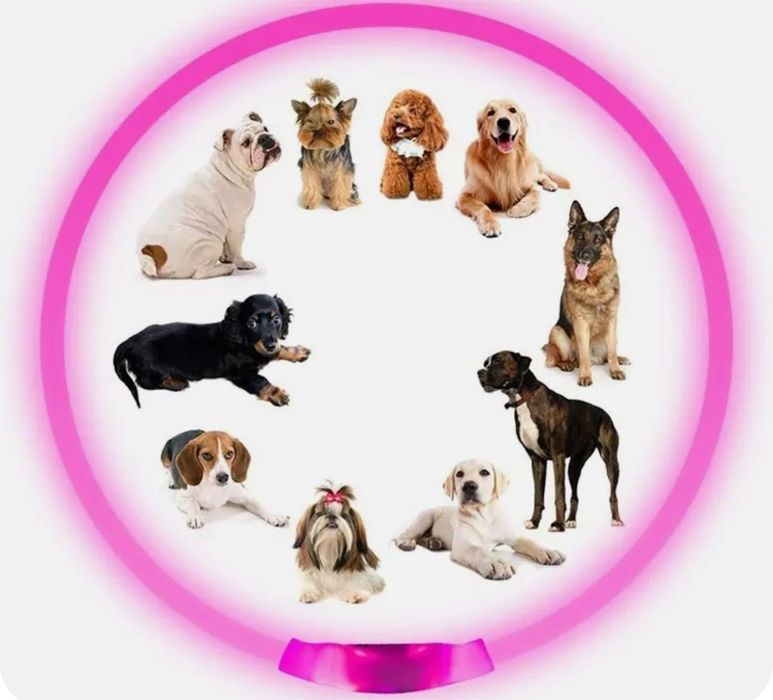 Светодиодный ошейник для собак