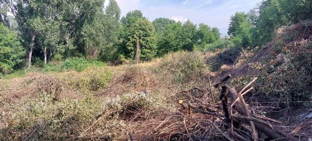 Почистване на запустели парцели и имоти