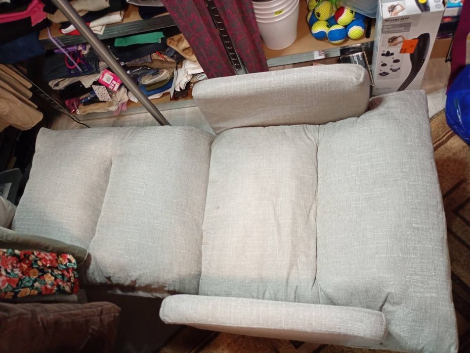 Fotoliu recliner cu pui nou