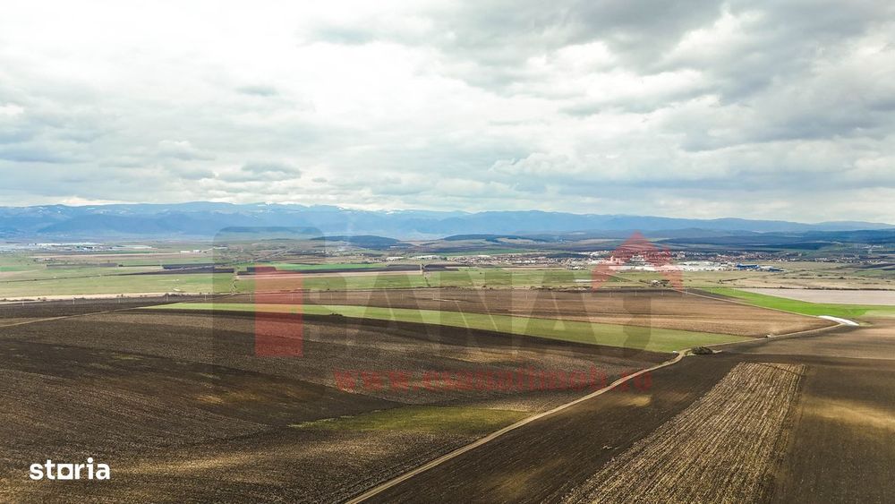 Ocazie | Teren 50.400 mp | Sura Mica | Investitie / dezvoltare |VIDEO