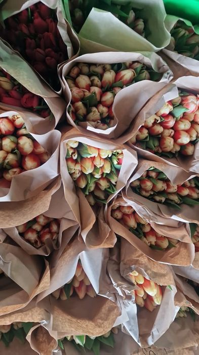 Тюльпаны оптом Астана