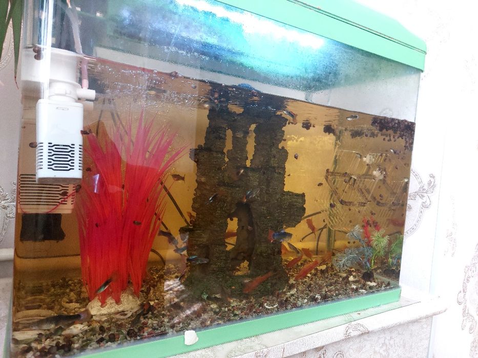 Продам Аквариум с рыбками