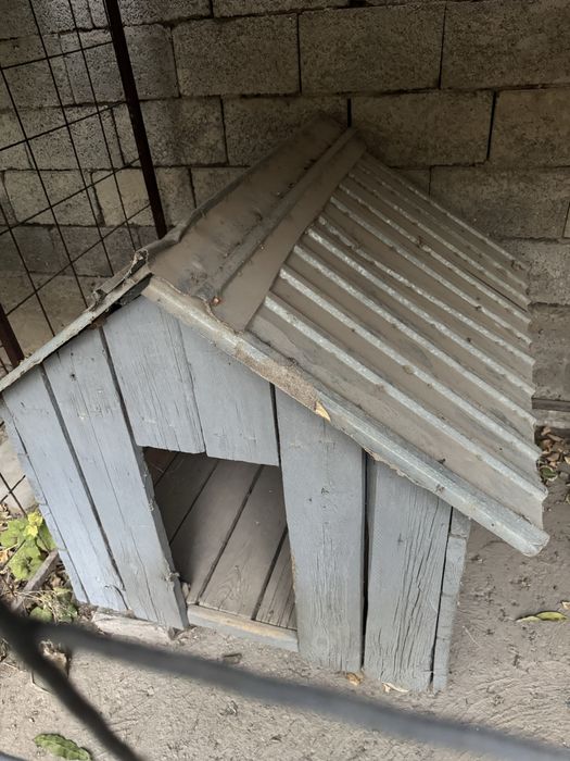 Вольер с конурой для собак