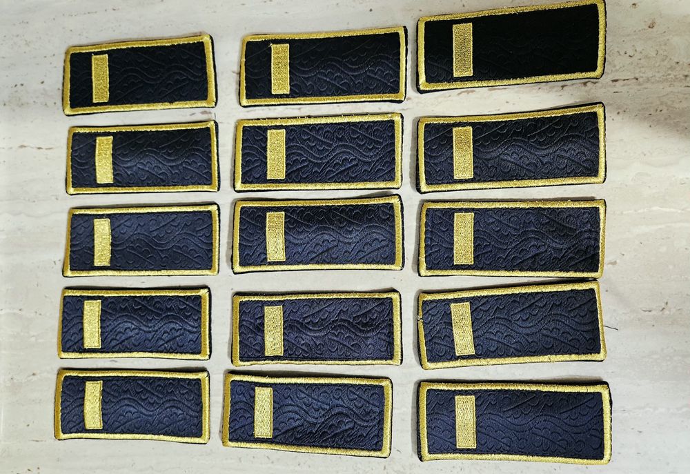 Grade ANP penitenciar /agent– NOI, set oficial