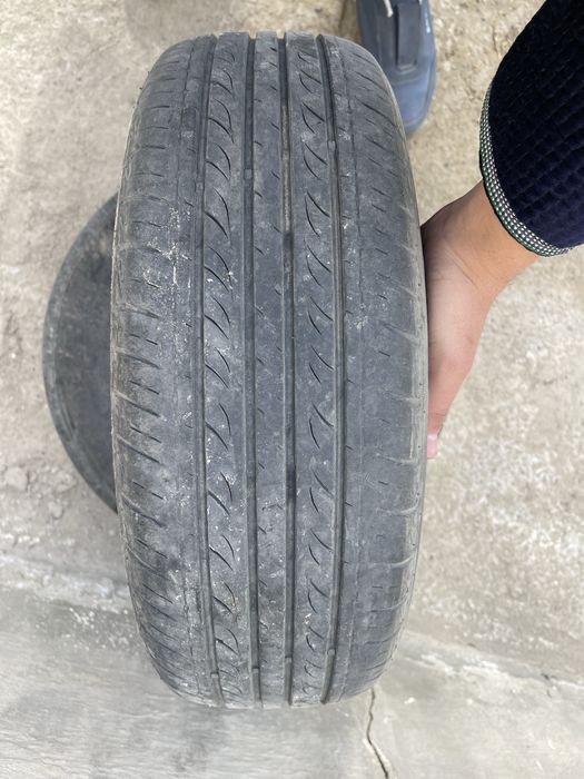 4 ta balon 20 000 yurgan hali tishlari yangiday turbdi