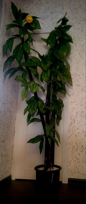 Шикарное декаративное дерево 2х метровое