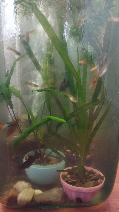 Продам аквариум со всеми комплектациями.