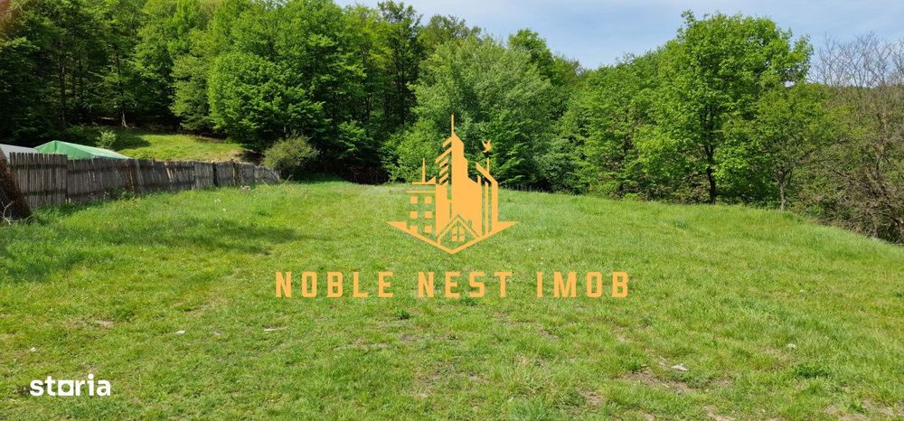 Teren extravilan 2200 mp - Budeasa Mica, Arges