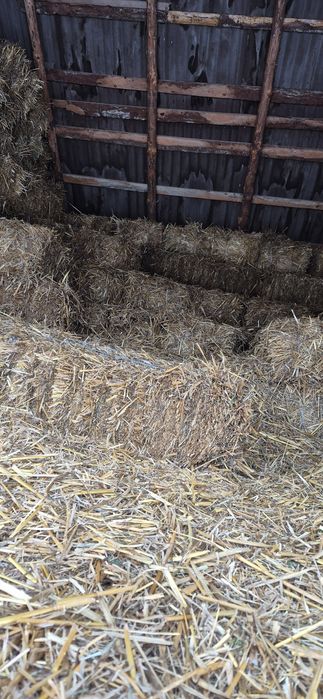 Vând baloti de paie