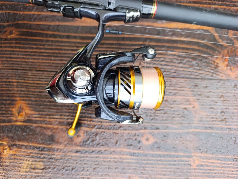 Болонеза Miterson 5