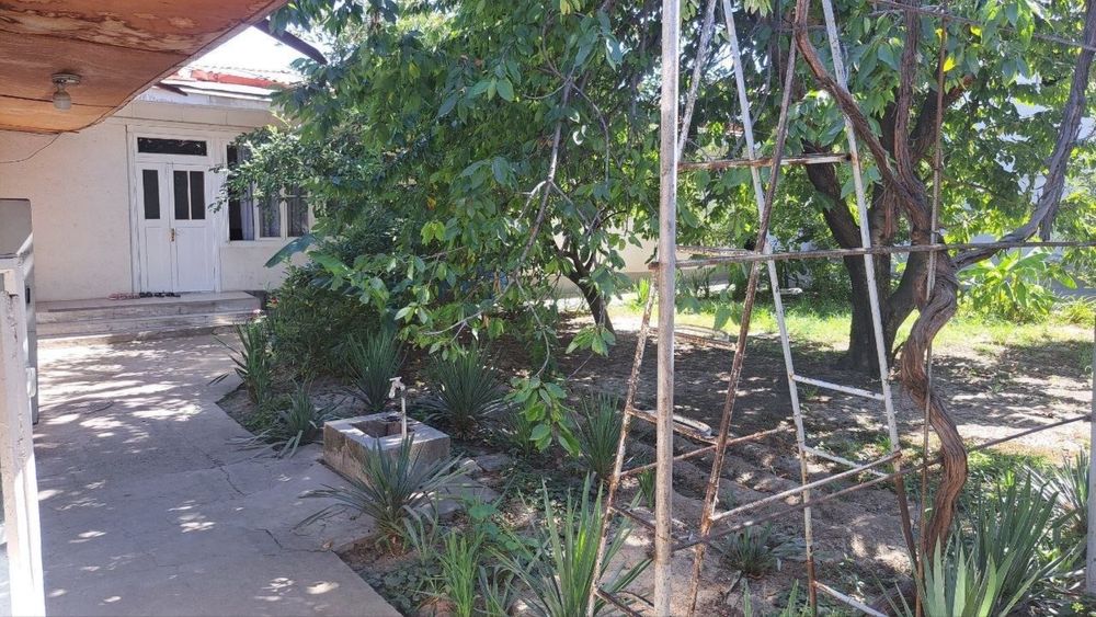 дом под слом  Вдоль дороги первая линия  Ботаника-таштюрьма