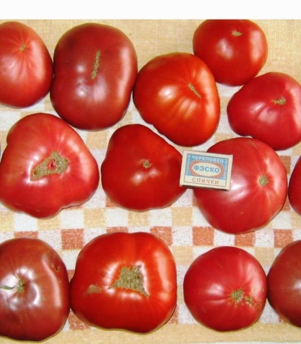 СЕМЕНА  томатов,  сорта разные(не гибриды)