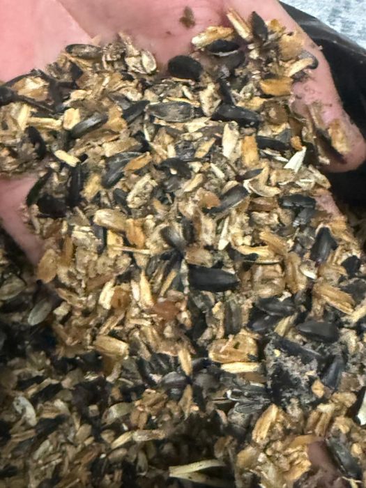Продам отходы семечек. 20тг