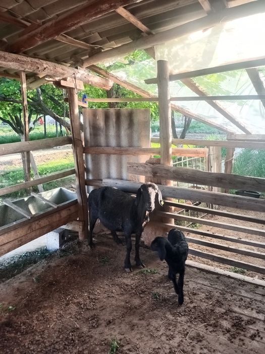 140.000 тенге#₽₽₽₽