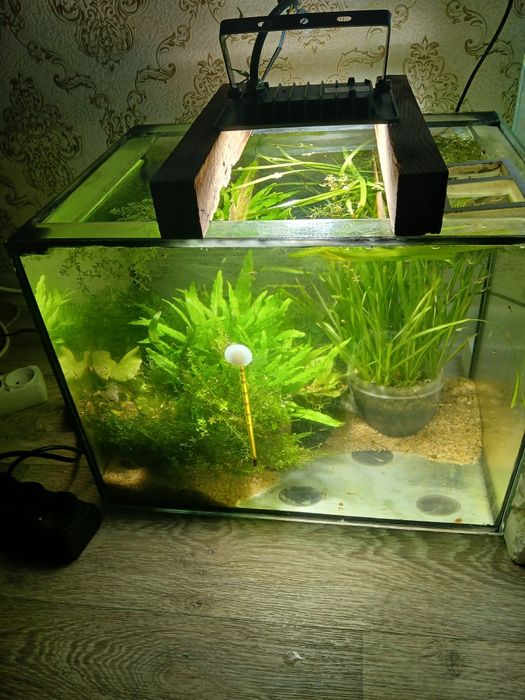 Аквариум в комплекте с рыбками