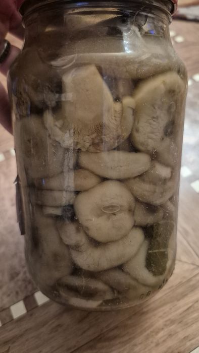 Грибы домашний засол