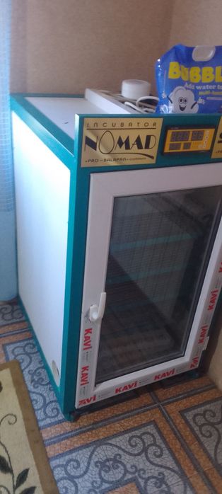 Инкубатор балапан