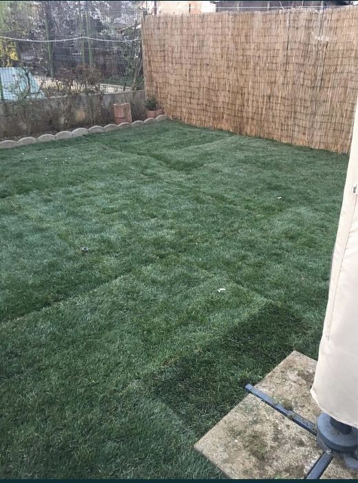 Gazon Rulou Amenajarii Spatii Verzi