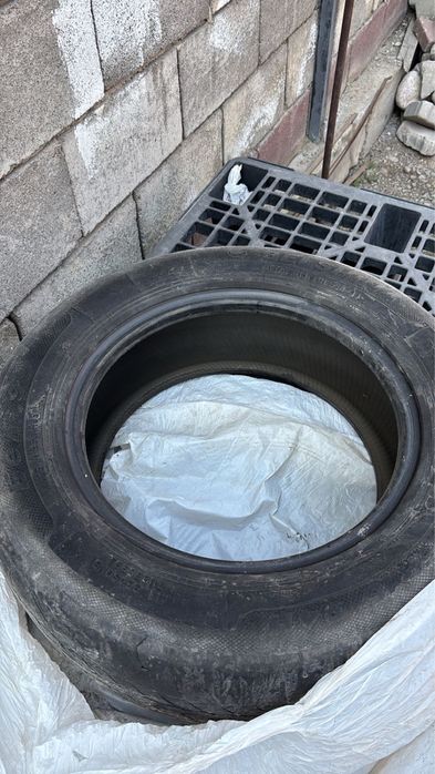 Шина BELSHINA kia rio