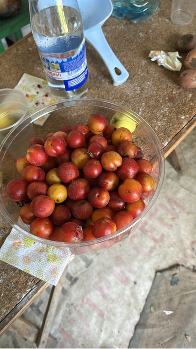 Продам дачу сад Здоровие