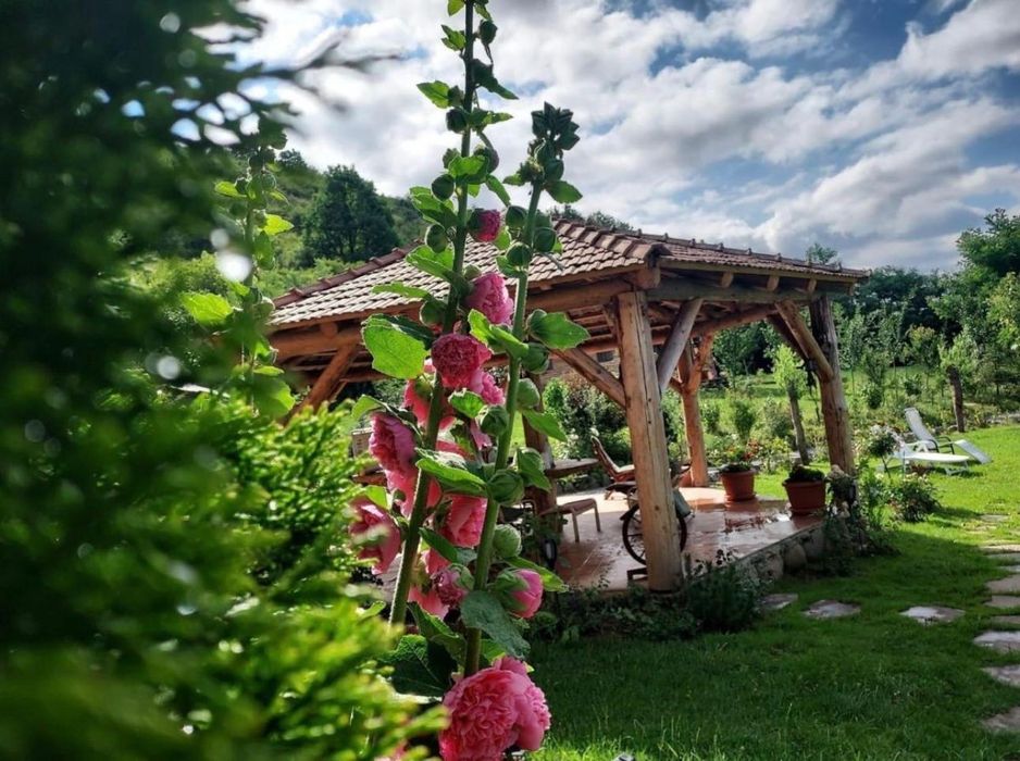 Cabana de închiriat , ciubăr și saună ,  petreceri permise , fără vecini , regim hotelier , cazare în natură