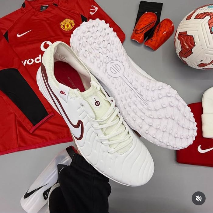 Сороконожки, профессиональные