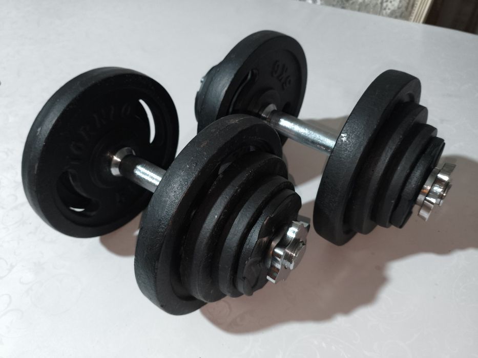 Две Гантели Torneo 40 кг разборные