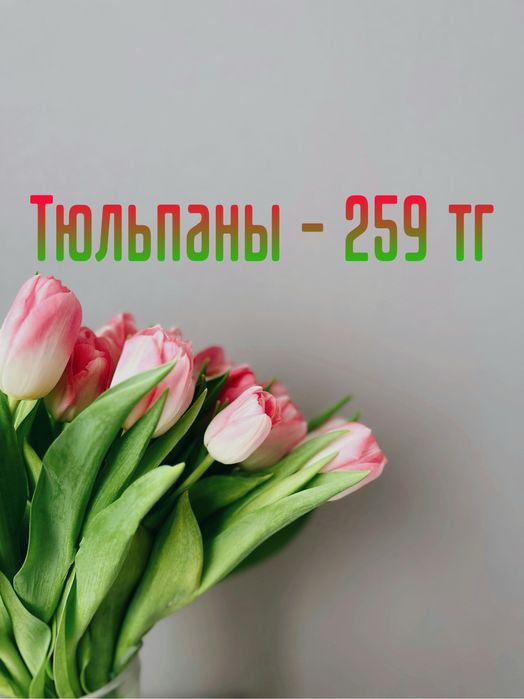 Премиум Тюльпаны оптом и в розницу