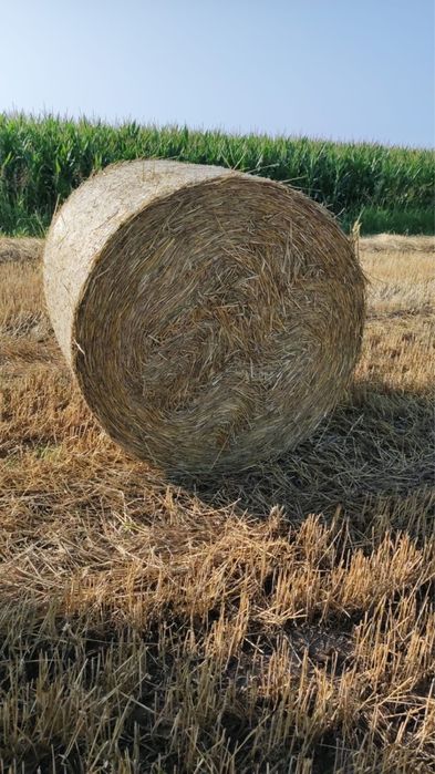 Prestări servicii :Balotat Lucerna fân paie tulei 120x130cm!!!