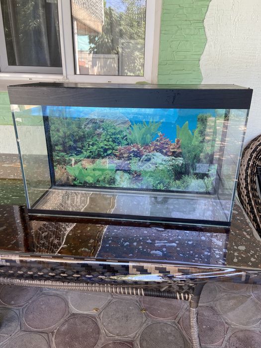 Аквариум на 100 литров