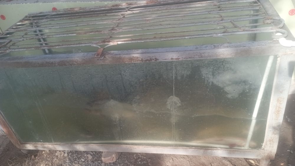 Аквариум мустахкам ясалган