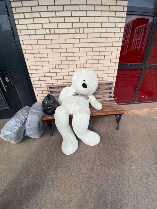 МИШКА срочно продаю