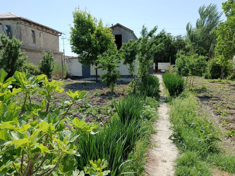 Навбахор дача тезда сотилади биринчи куча оладигон одамга келиштирамиз