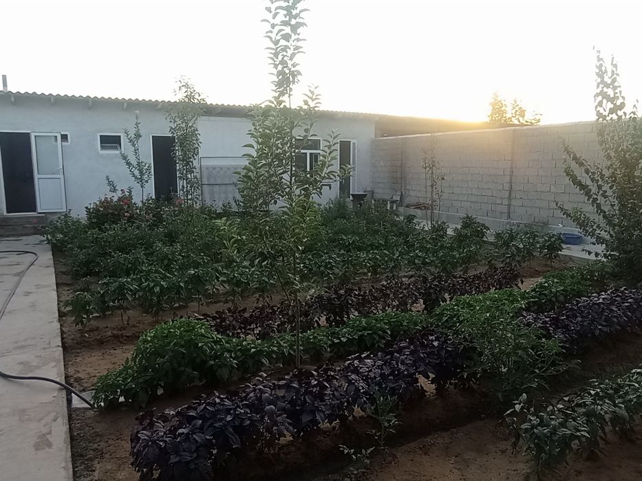 участок срочно тошкент шахар земля новый участок янги ташкент