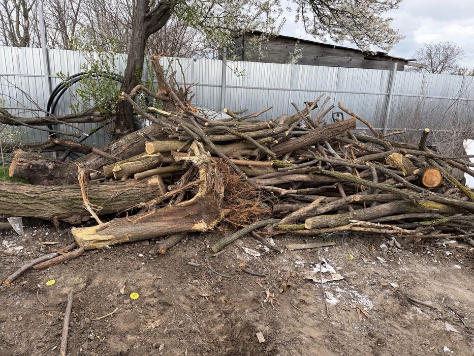 Vand lemne foc transport gratuit