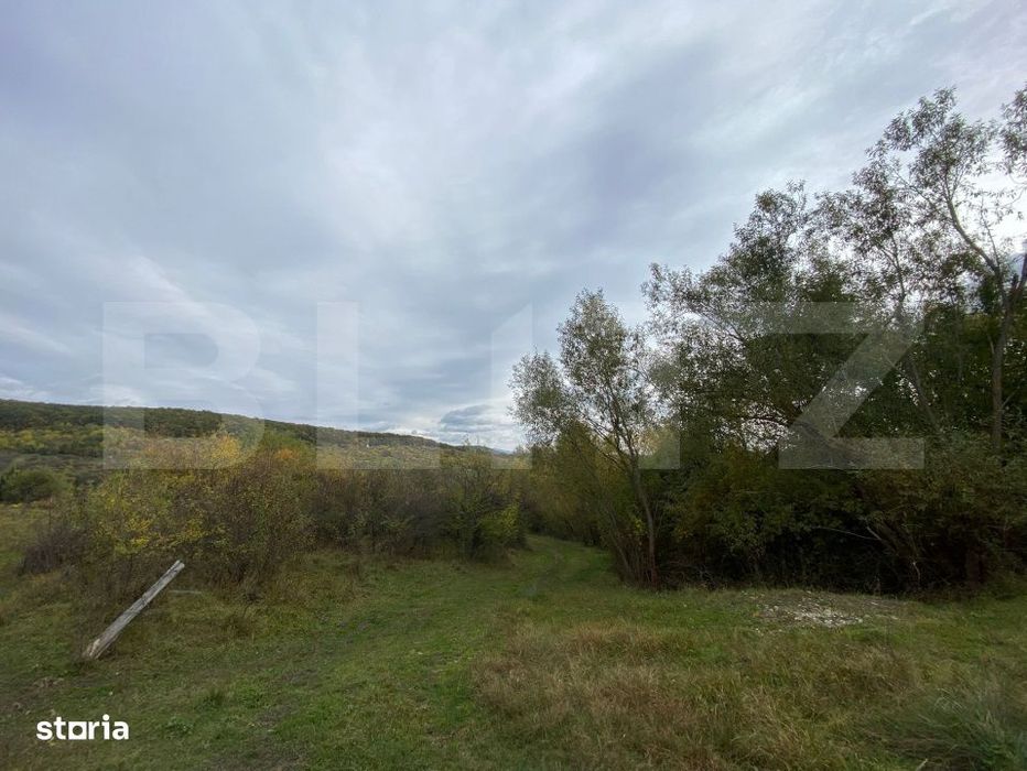 Teren 77 ari | Zona Valea Rusului | Posibilitate parcelare in 2 loturi