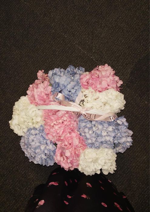 цветы гортензия свежий